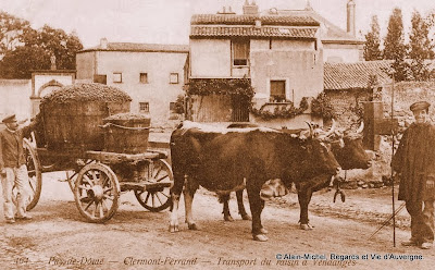 CPA vendanges et vendangeurs en Auvergne