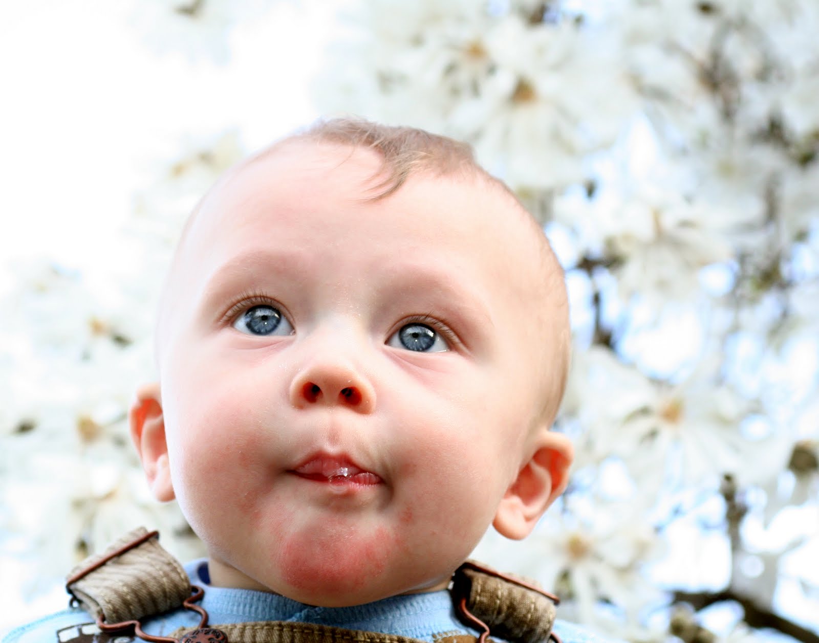 VIEW ALL WALLPAPERS: Babies wallpapers