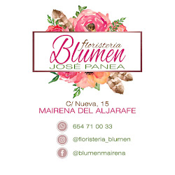 Floristeria Blumen