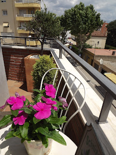 Un vergel en la ciudad: Mi balcón