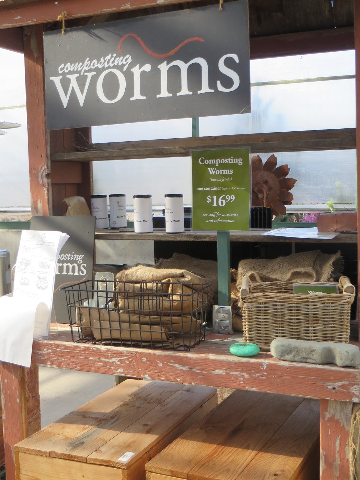 Nursery Visit Sky Nursery Seattle