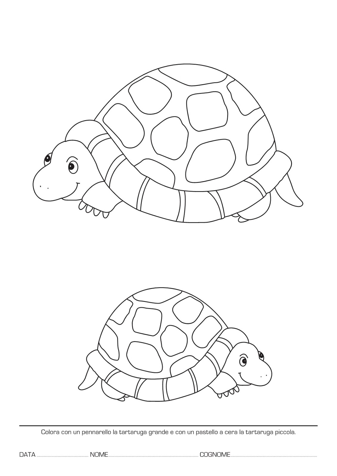 La maestra Linda Concetti Topologici