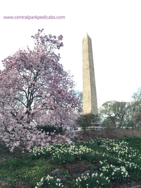 The Obelisk - Central Park The Obelisk by Central Park Tours
