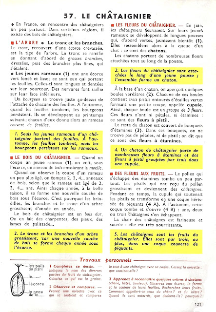 "Pages arrachées", extraits de manuels anciens - Page 7 Orieux%252C%2BEveraere%252C%2Ble%25C3%25A7ons%2Bde%2Bchoses%2Bcm%2B1957_0121