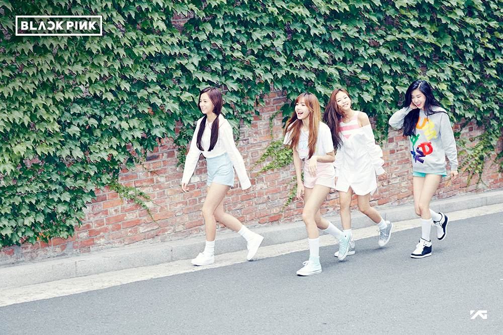 YG New Girl Group Official Name is BLACKPINK BLΛƆK PIИK YG THE BEST