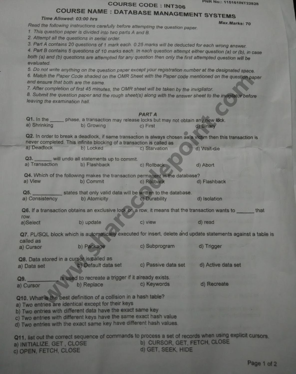 database management system term paper