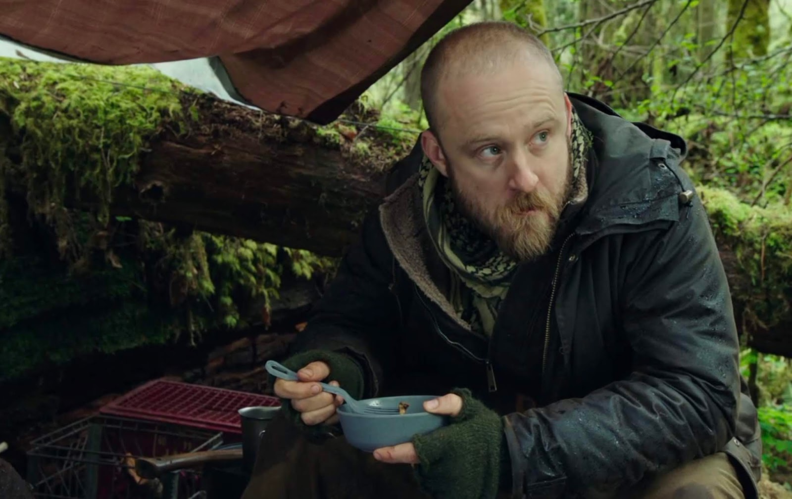 Leave No Trace': a powerful, deeply moving father-daughter tale