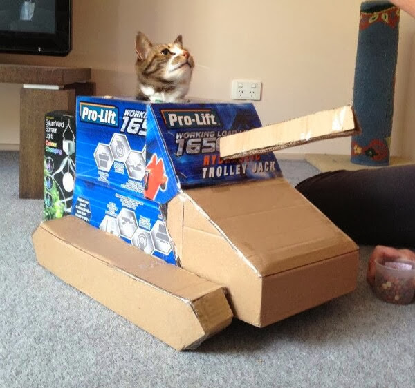 Funny cats - part 83 (40 pics + 10 gifs), cat pics, cat in box tank