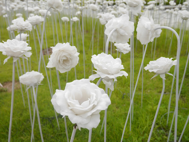 2015,summer 於是我就在韓國了 Day7