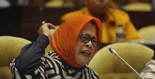 Dewi Yasin Limpo kader Partai Hanura