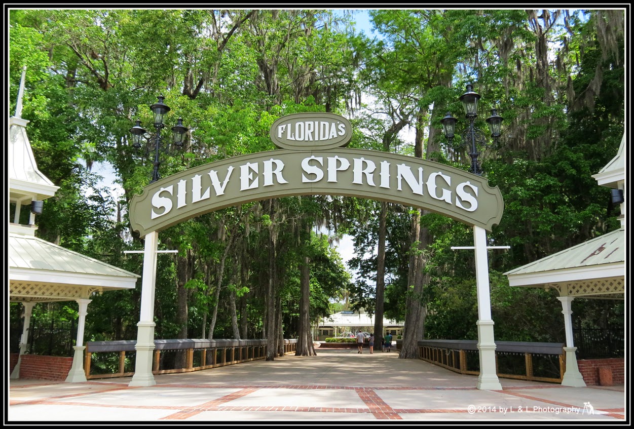 Ocala, Central Florida & Beyond Silver Springs State Park