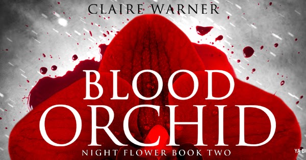 Bloody orchid. Blood orchid. Blood orchid. Bloody orchid l2. Blood orchid.