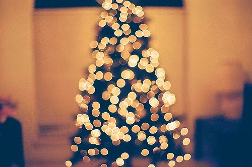 Inspiração Para Fotos Luzinhas De Natal Sorriso Espontâneo Não Falta Tanto Tempo Im Para O Natal é Nessa época Que As Pessoas Começam A Montar Suas árvores De E Enfeitar Casas Com Luzes