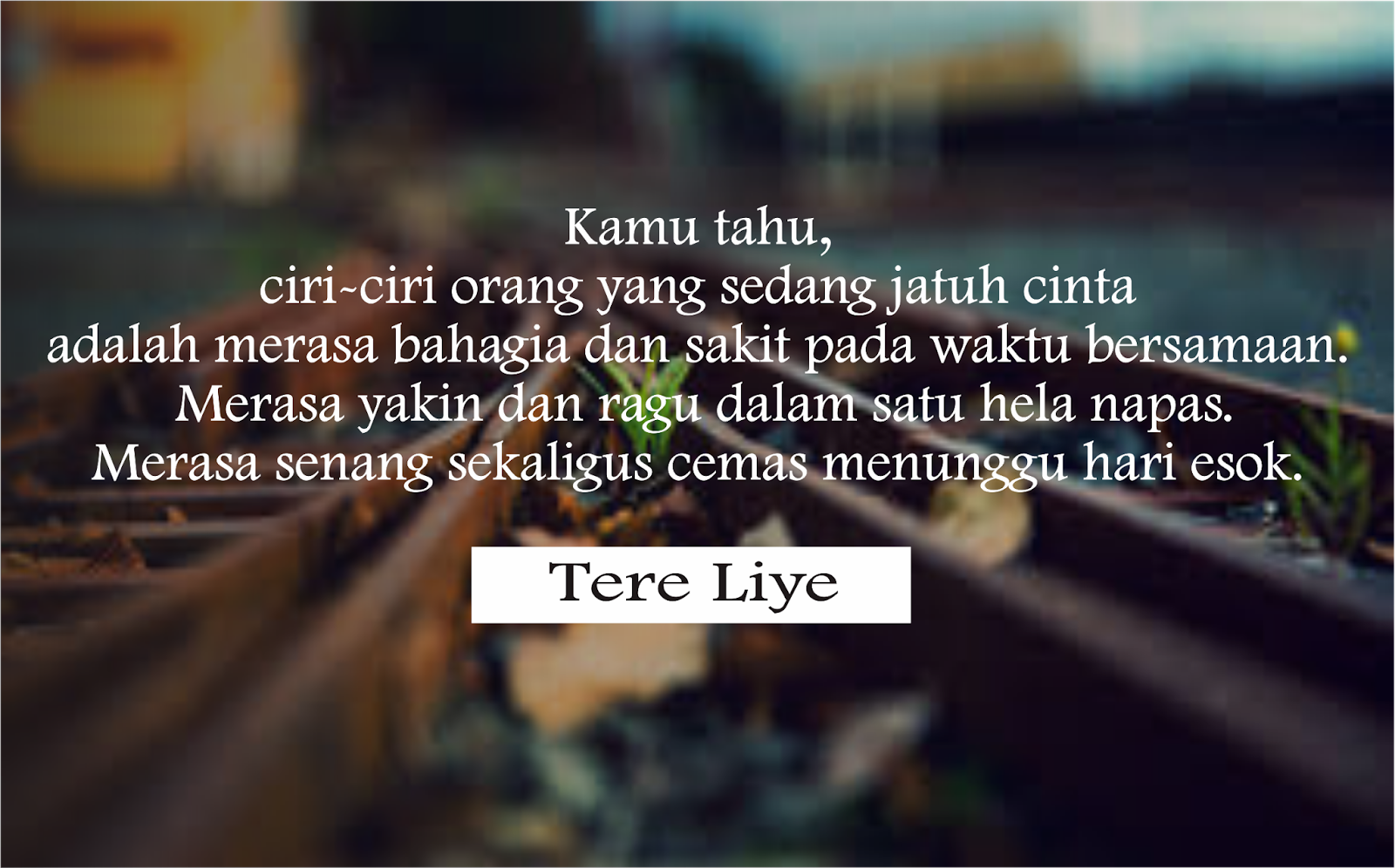 Kata Cinta Tere Liye Cikimm Com