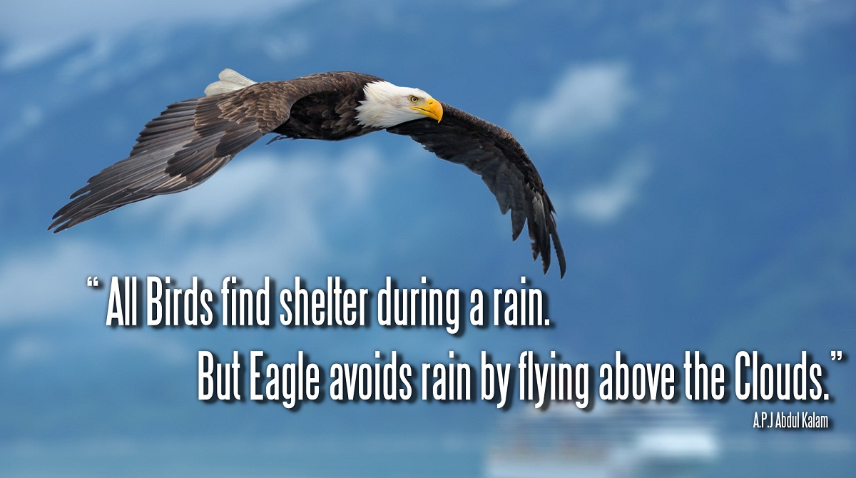 Eagles Fly Above The Storm Quote Motivational Quotes About Eagles