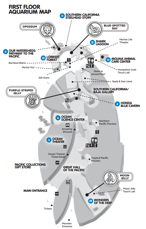 Visitor's Guide to the Aquarium of the Pacific