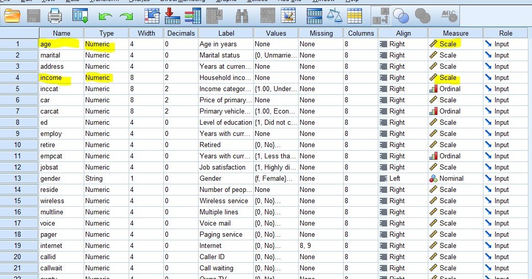 Pearson Correlation using SPSS