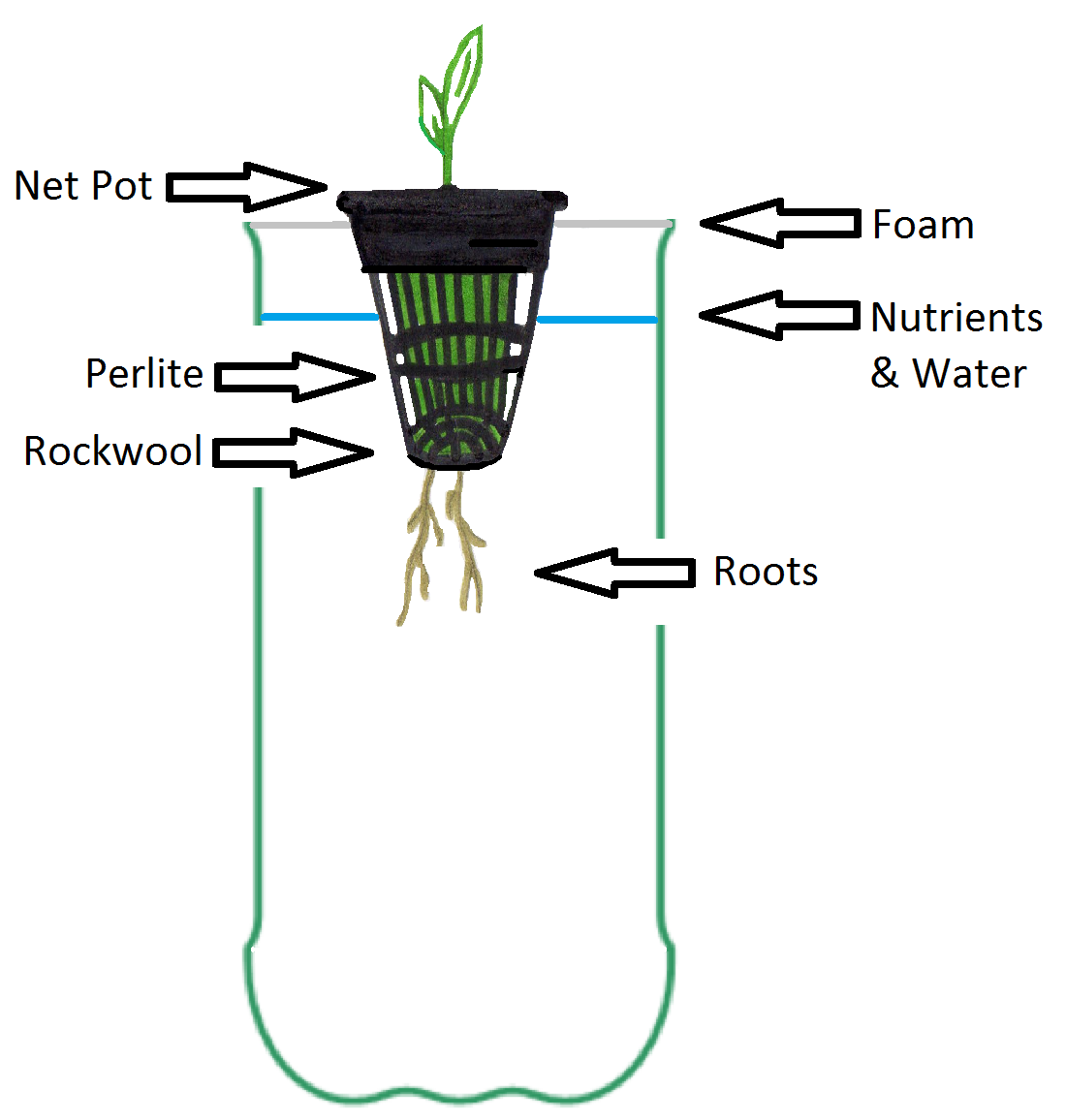 Fire Blossom Farm Kratky Method You Can Grow a Head of Lettuce for a