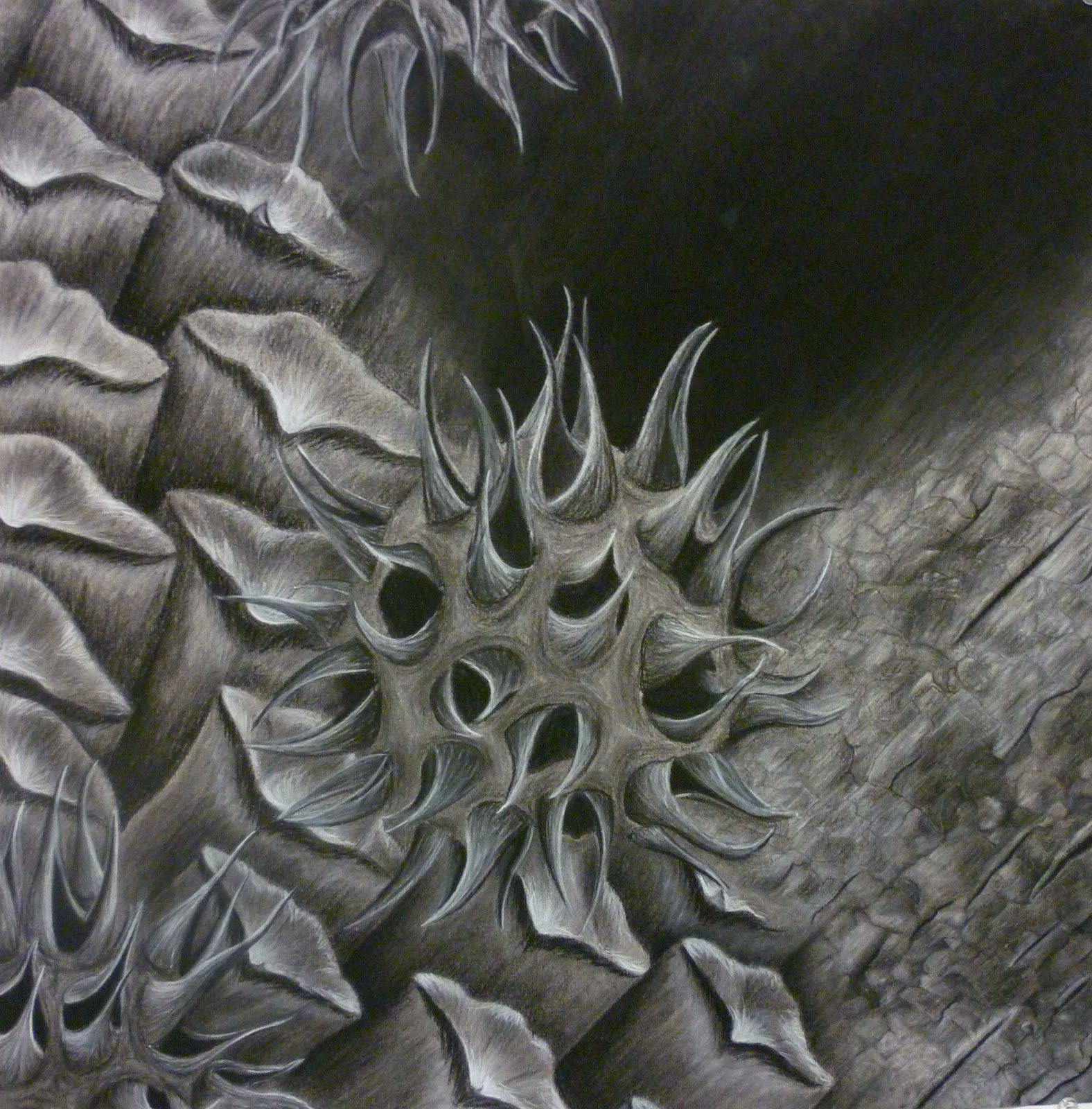 UM Drawing Tutorials: Project 5: Blending White and Black Charcoal