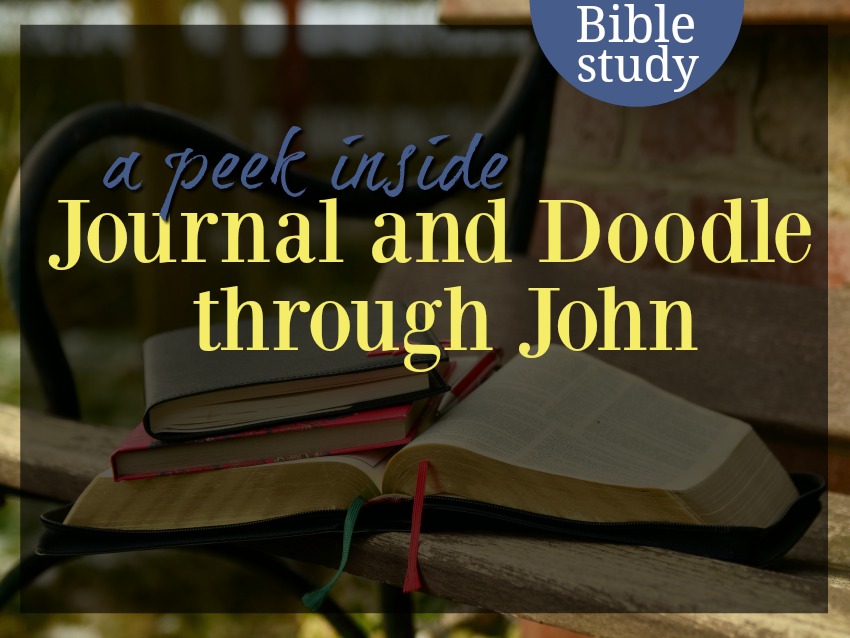 study of the book of john
