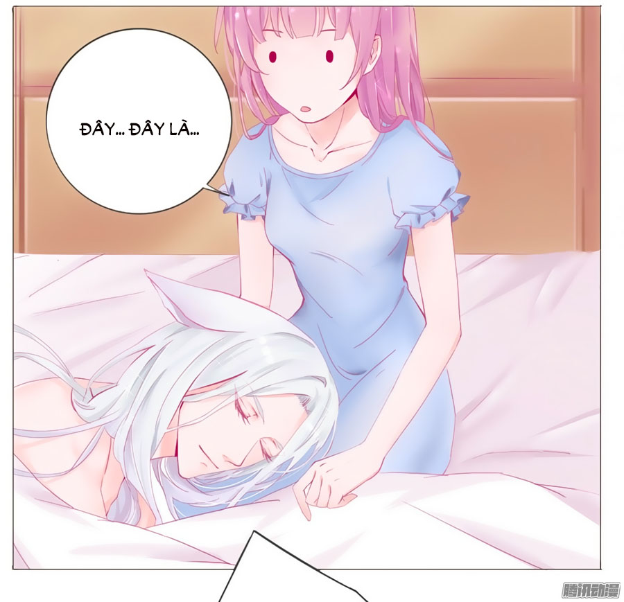 Hello Miêu Tiên Sinh - Chương 1 - Trang 4