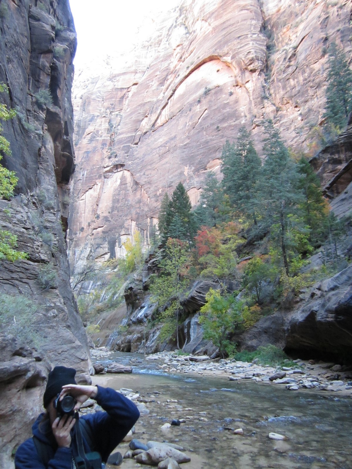 Travel Adventures 2012: Zion National Park - The Narrows Hike