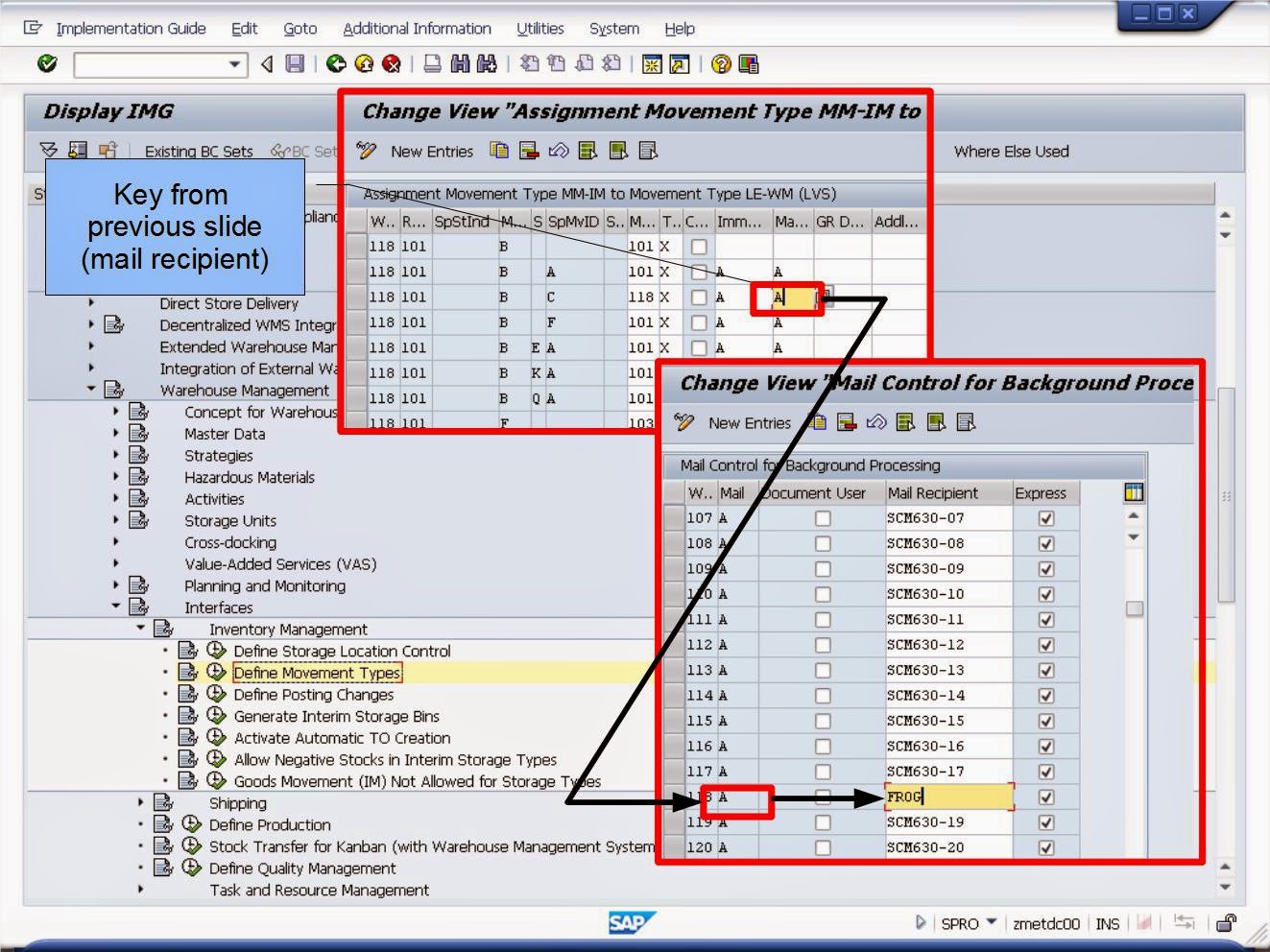 青蛙SAP分享 Froggy's SAP sharing WMS Controls Automatic Transfer Order
