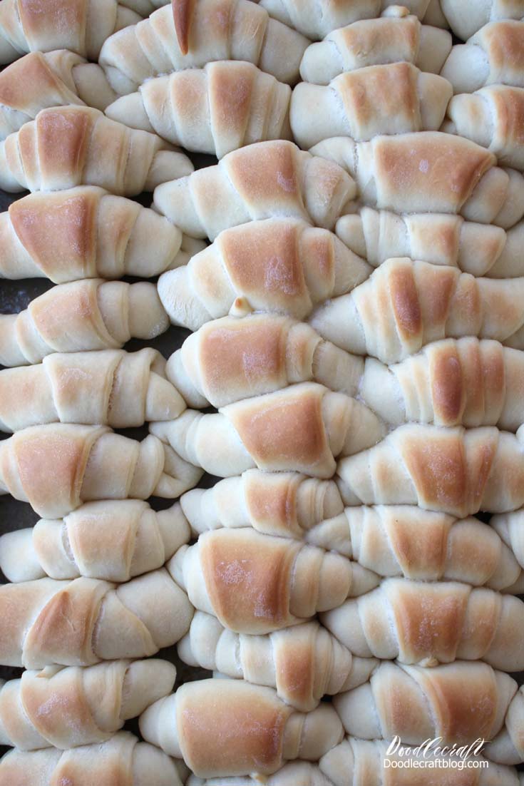 Fresh Baked Rolls from Scratch in 30 Minutes Recipe!