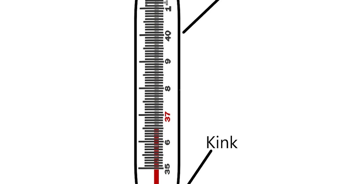 Class 7 Drawing Diagram Clinical Thermometer Diagram