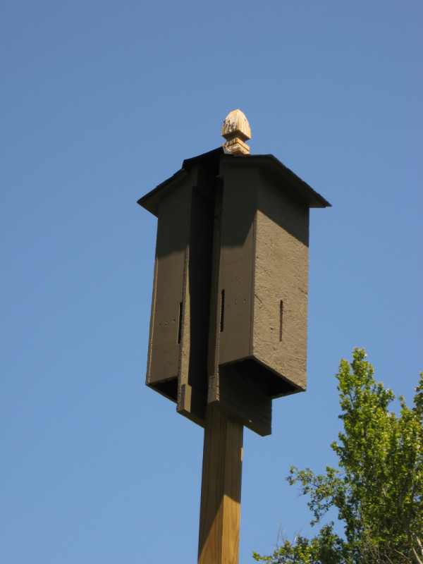 My Father's World Bat Houses