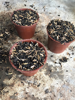pinoy bonsai soil mix