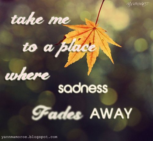 Funny Pictures Gallery: I wonder quotes, wonder quote, sometimes i