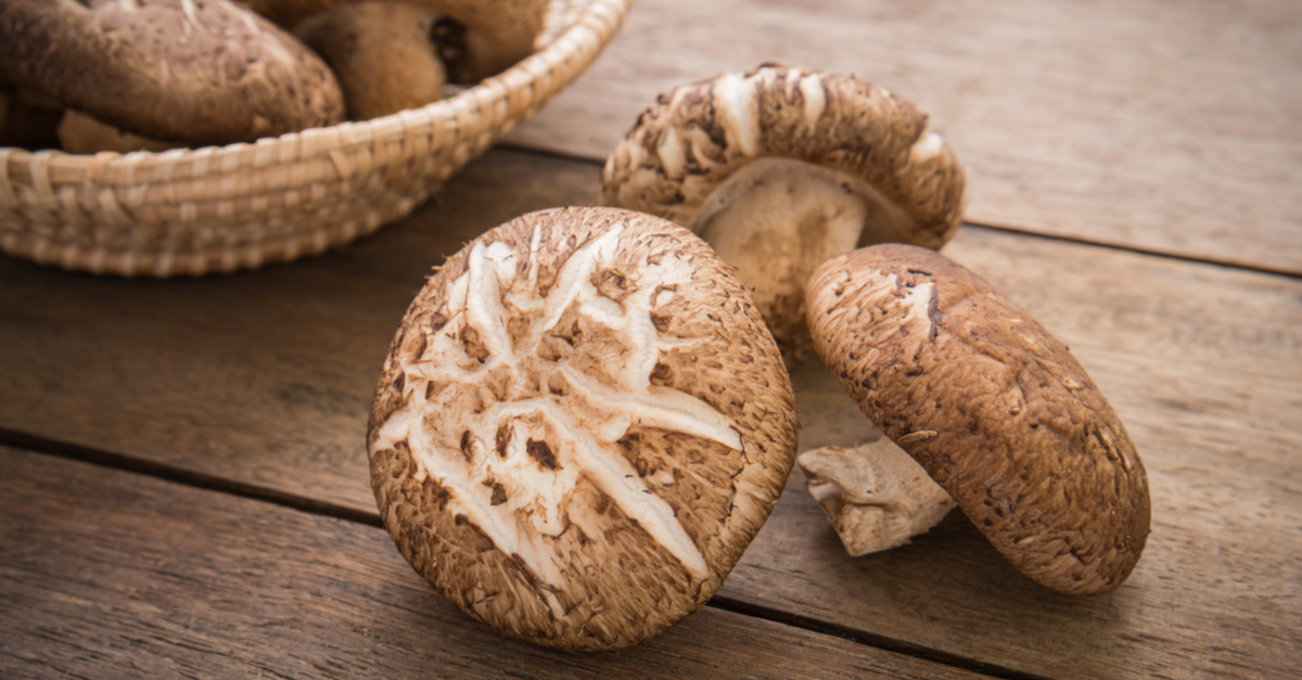 The Life Extension Blog Shiitake Mushrooms AntiCancer, AntiAging