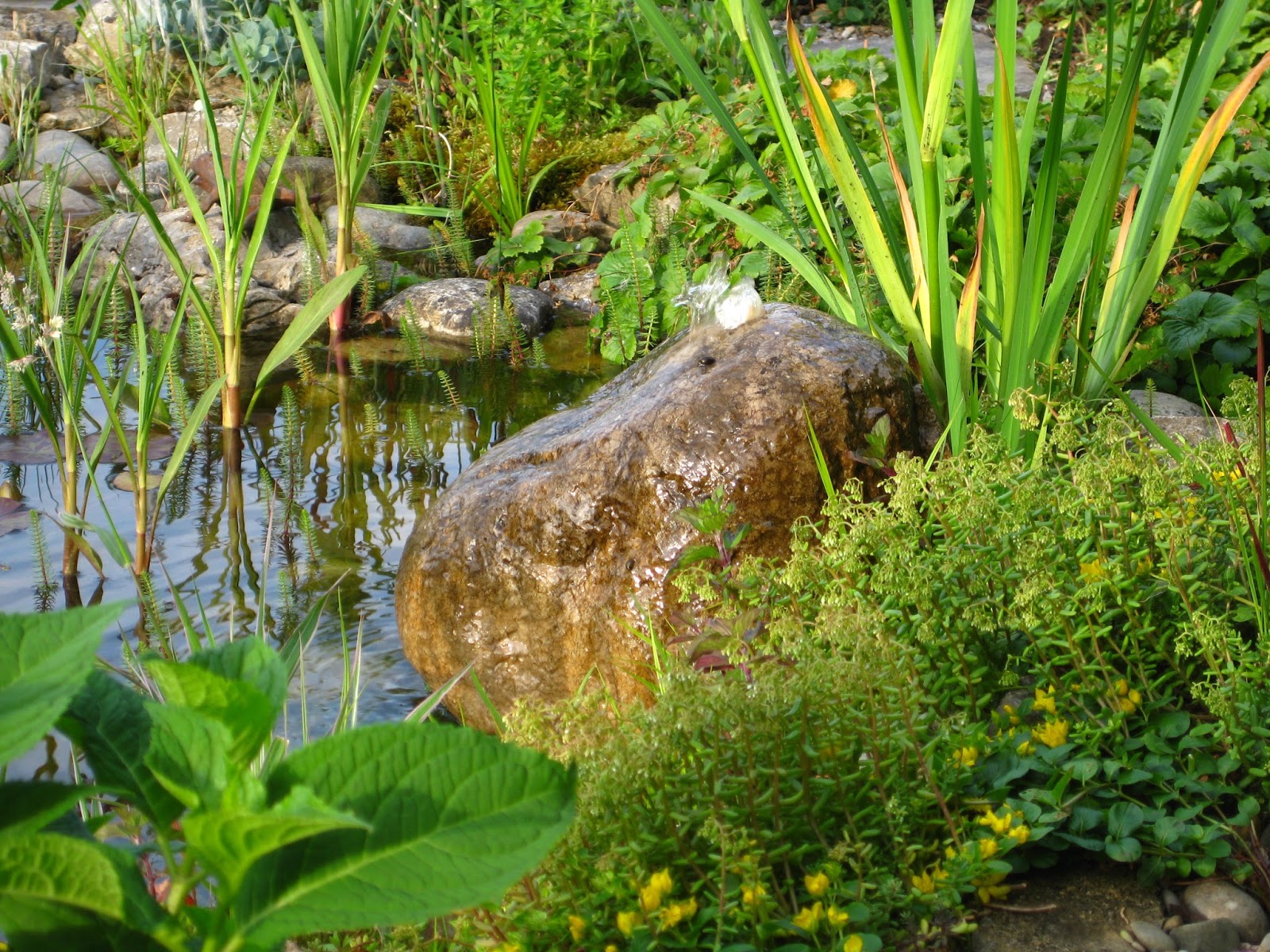 Gartenteich auf zwei Ebenen