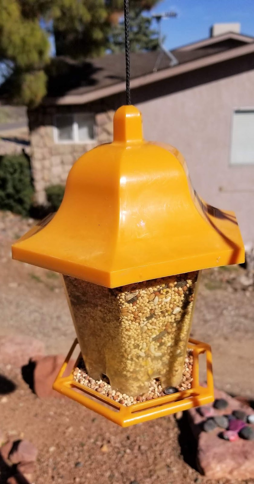 Frugal Shopping and More Kaytee Basic Blend Wild Bird Food Review 