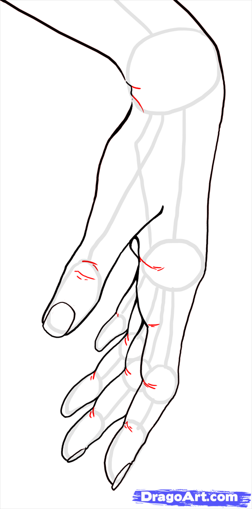 How To Draw Hands Toons Mag Plus