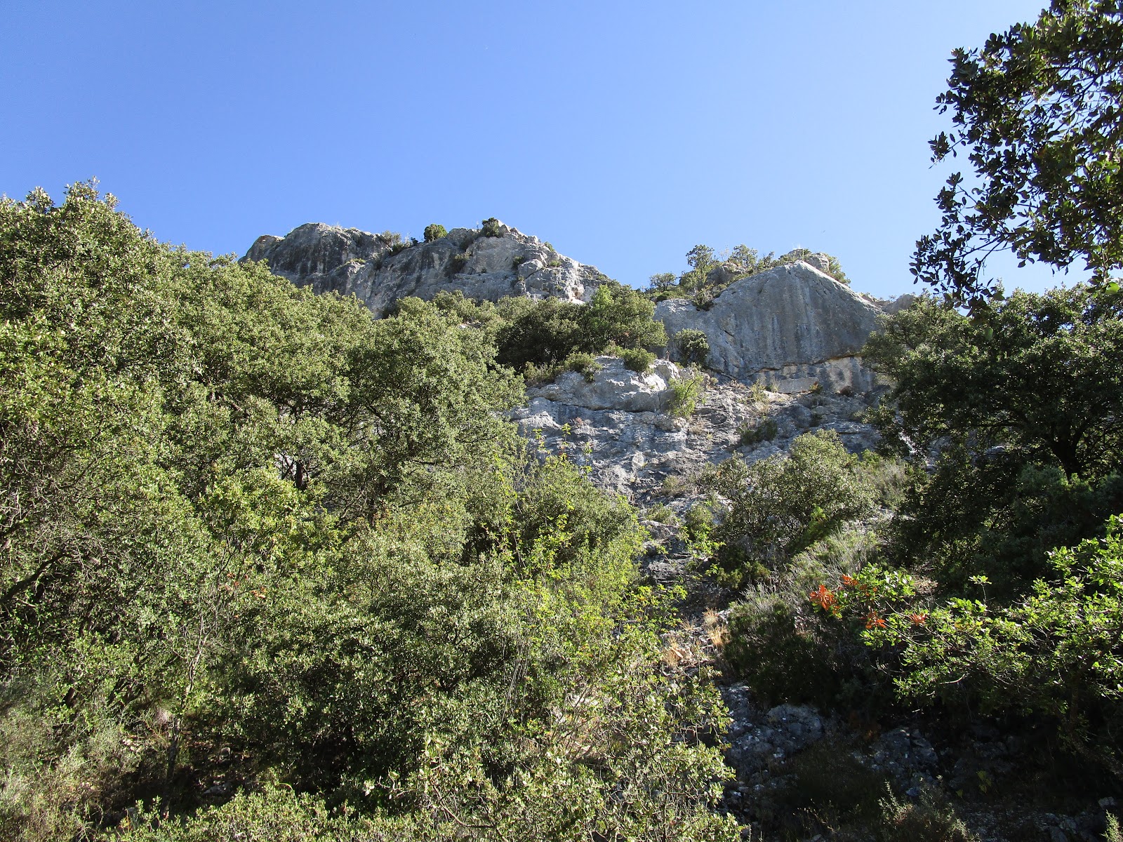 LOS SALTAPRAOS ROBREDO DE ZAMANZAS, BARRIO LA CUESTA, VALLEJO DE