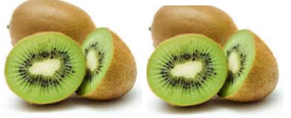 Kiwi Fruit Generation of New Cells