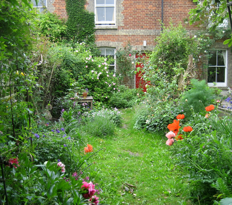 The garden in May