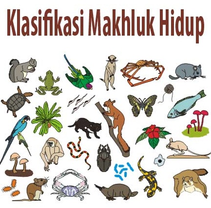 Terupdate Sistem Klasifikasi Makhluk Hidup