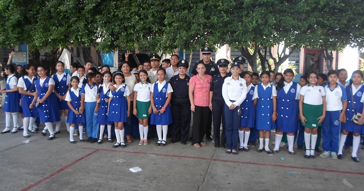 Proyecto De Prevencion Del Delito En Escuelas