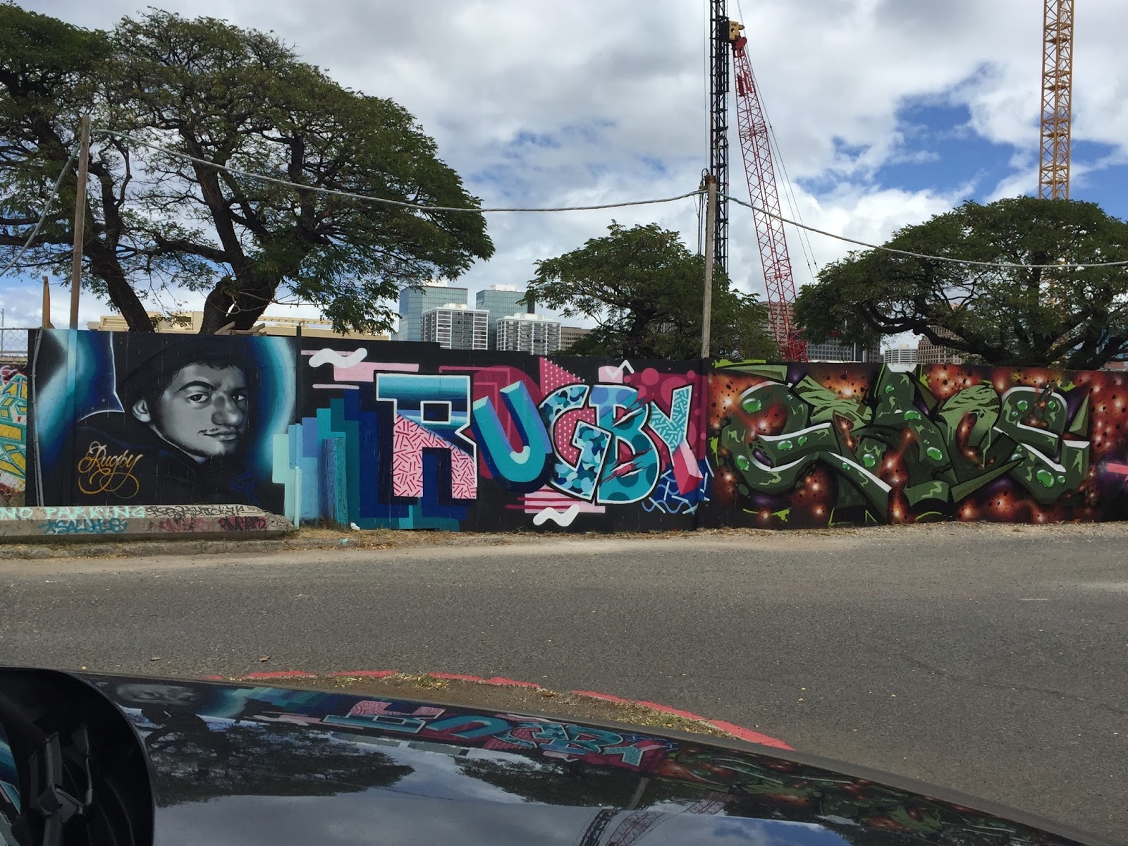 Penelope's garden More Kakaako wall art.