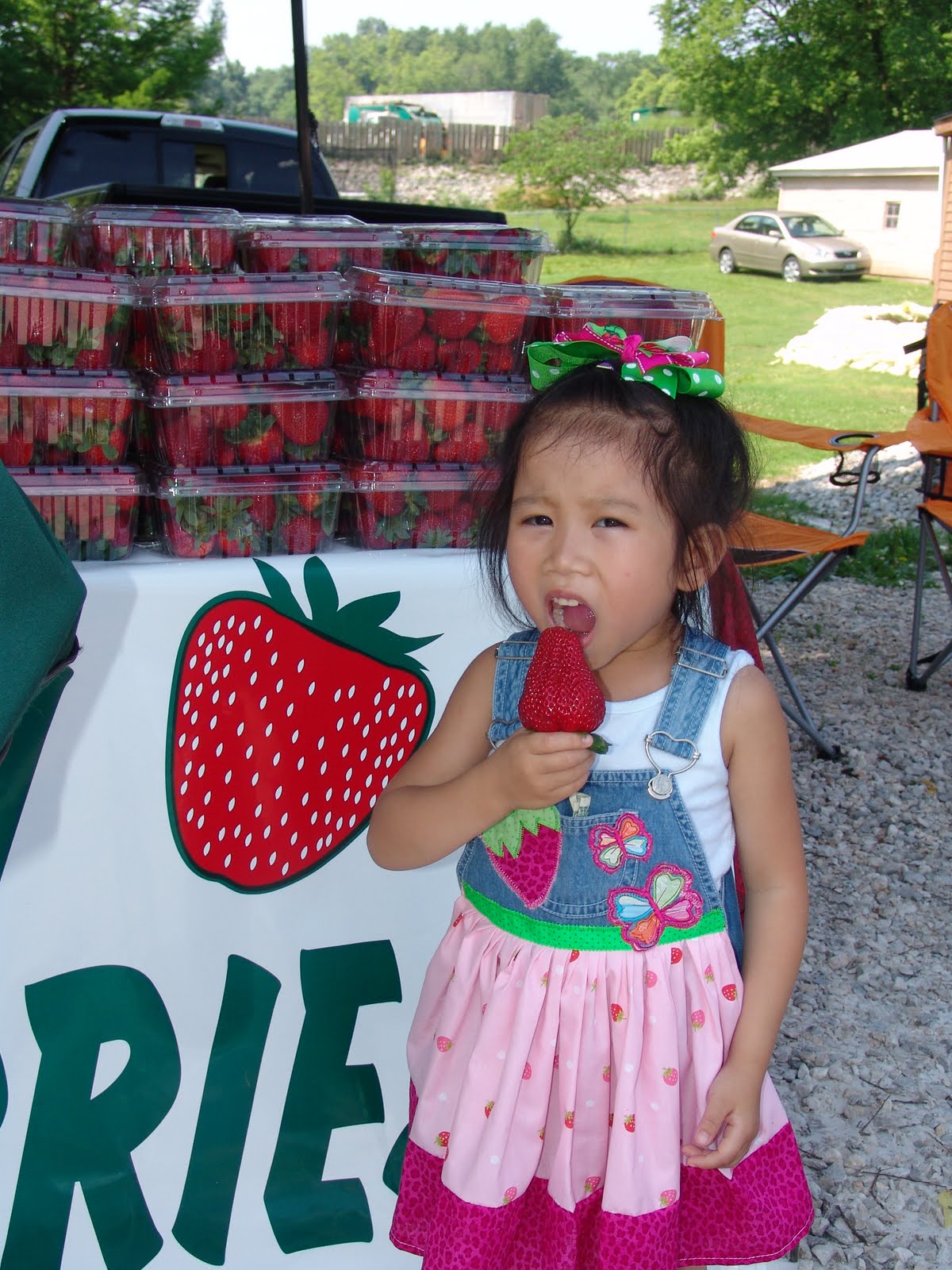 Orchids & Ladybugs Boutique Kimmswick Strawberry Festival