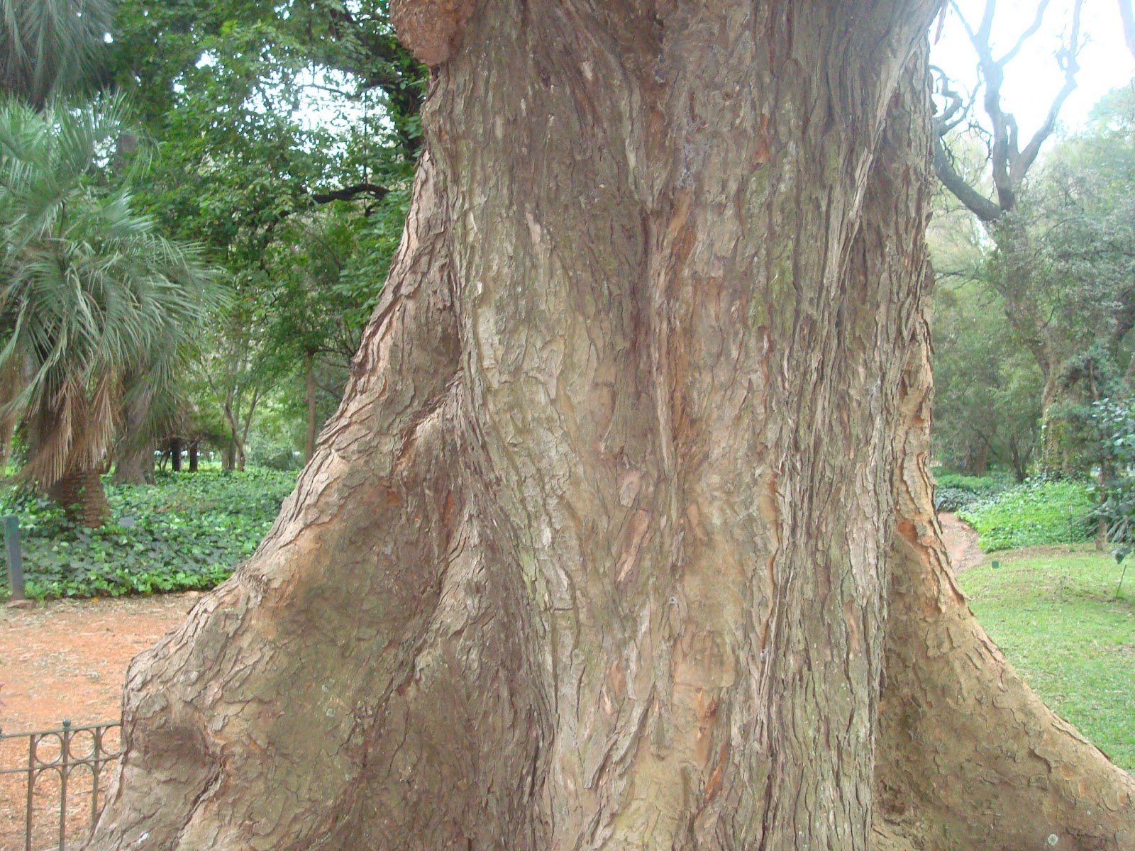 loschicosdeprimero2012 JARDÍN BOTÁNICO