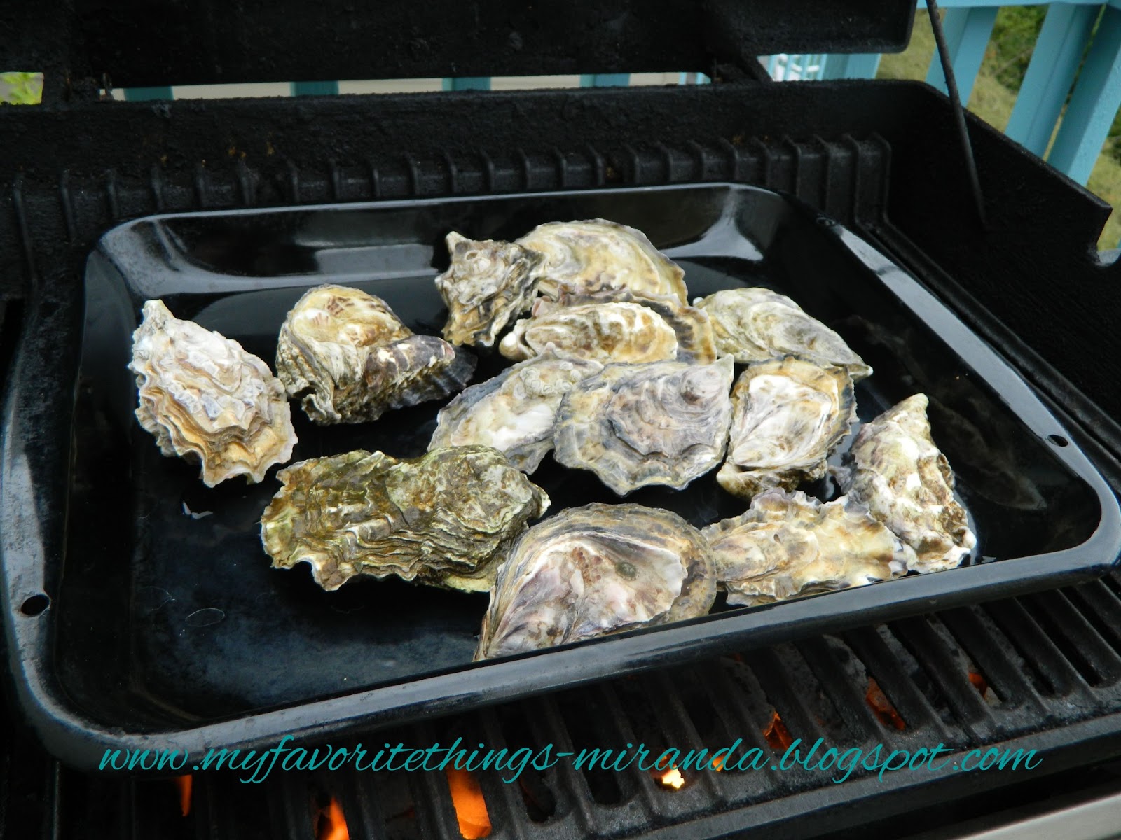 PankoCrusted Halibut & Grilled Oysters