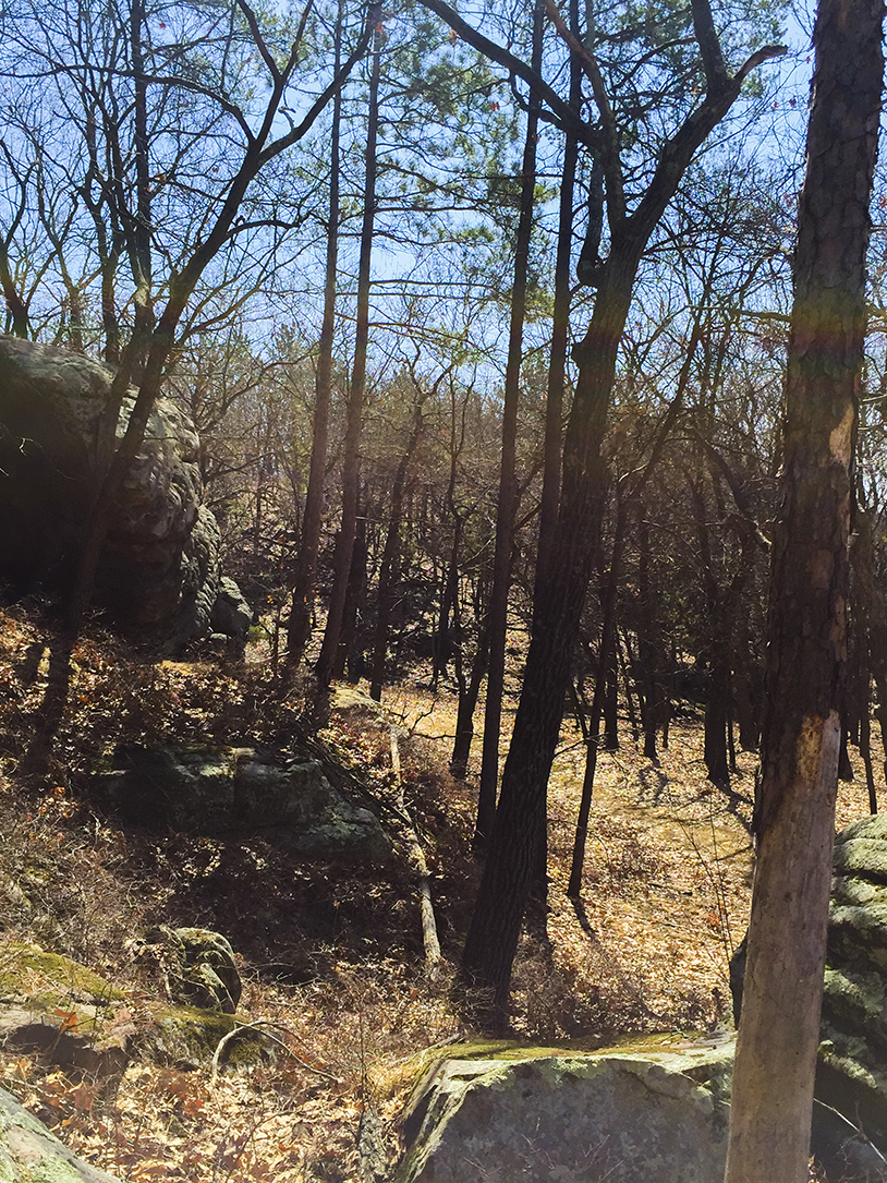 Quincy Bluff - Friendship Wisconsin