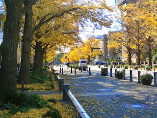 ���{��ʂ�