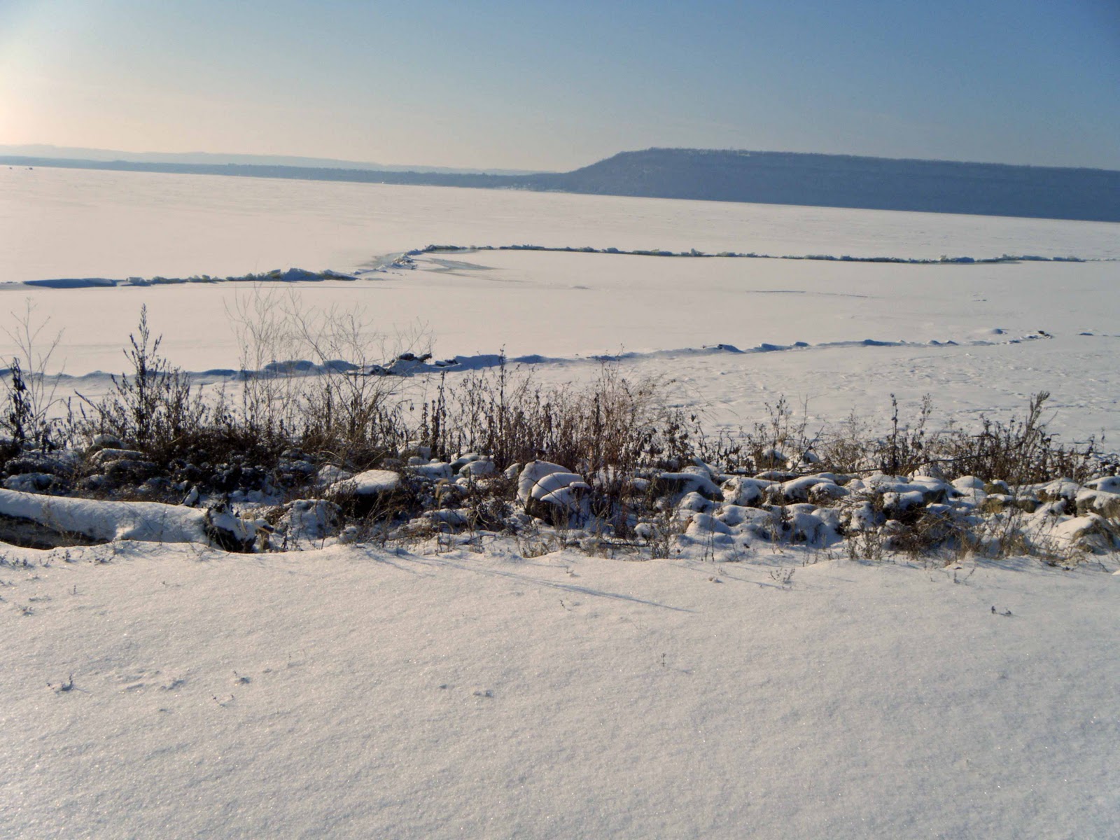 Adventures Here and There Visiting the Eagle Center