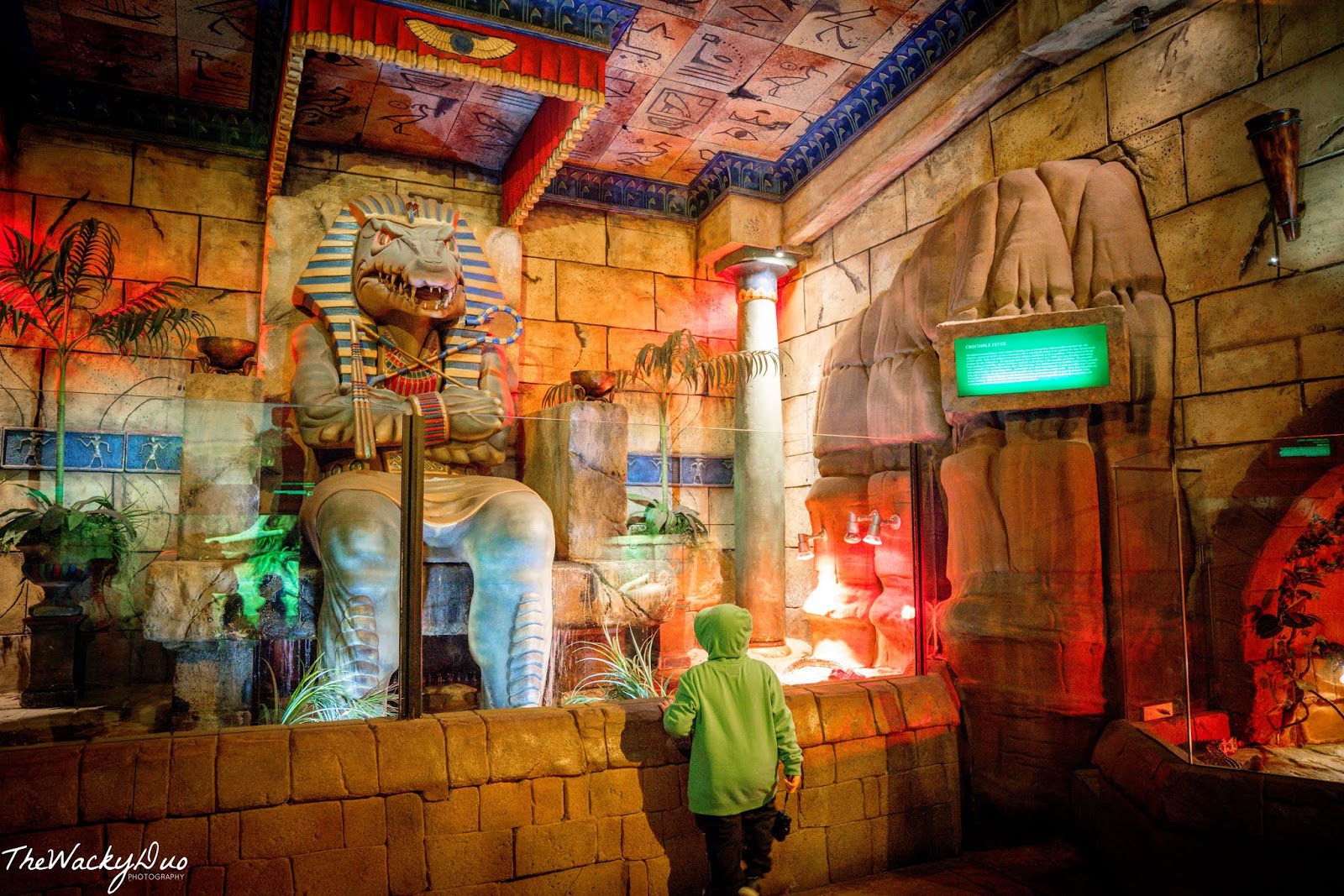 Australian Reptile Park Sydney Review Singapore