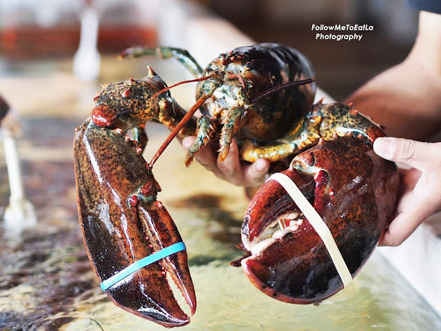 Canadian Lobster  RM 988++ 3Kg+- 